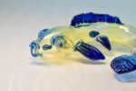 Pipa Pez Koi