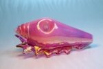 Conch Pipe
