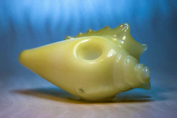 Conch Pipe